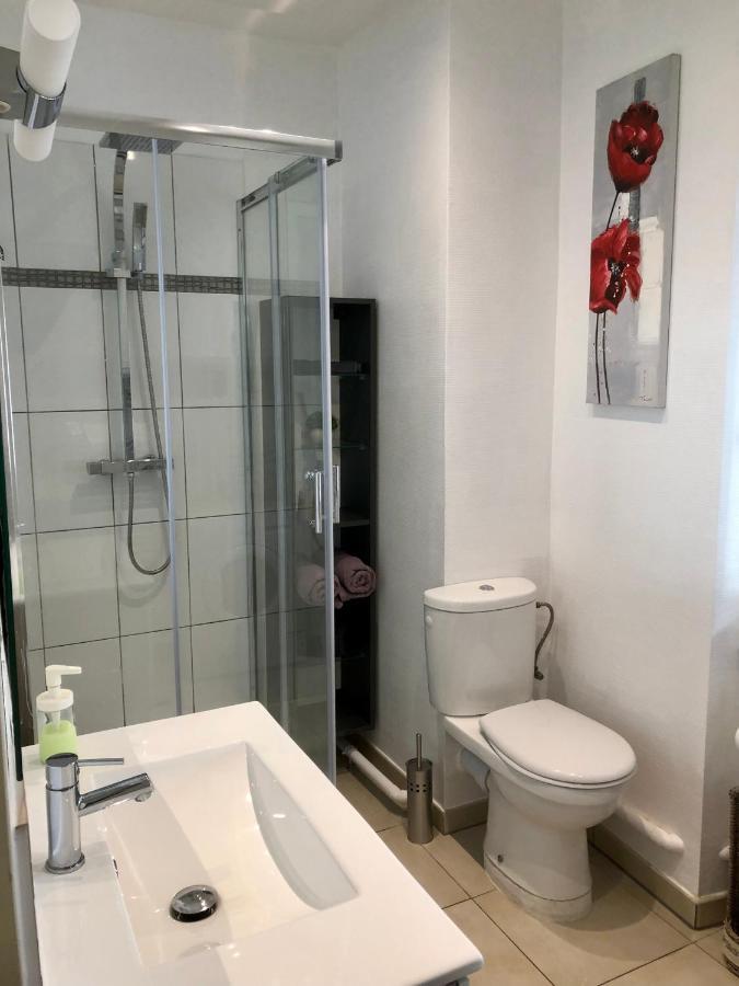 Le Nid De Mathilde- 3 Etoiles Apartment Colmar Exterior foto